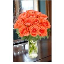 12 Wow Roses