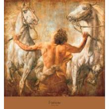 Furiose Poster Print