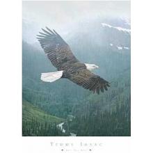 Into The Mist Poster Print