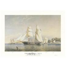 The Kestrel, R.Y.S. Poster Print