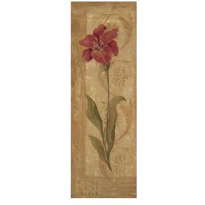 Evening Lily Poster Print