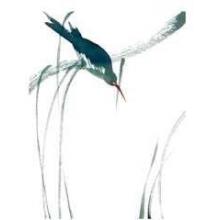 Perched Bird Poster Print