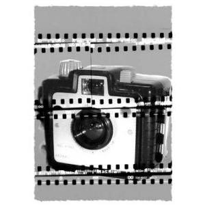 Camera Chrome II Poster Print