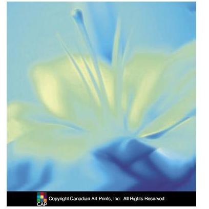 Impression Lily Poster Print