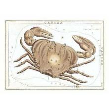 Zodiac Symbols - Cancer Poster Print