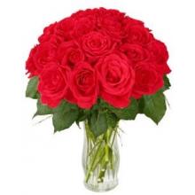 18 Red Long Stem Roses
