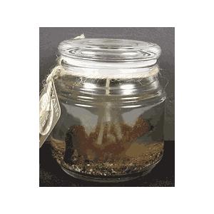 ACC Jar Candle Bear