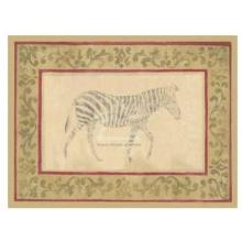 African Zebra Poster Print