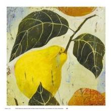 Quince Poster Print