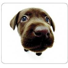 CHOCOLATE LAB MOUSE PAD