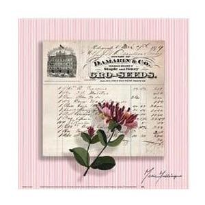 Gro-Seeds In Pink Poster Print