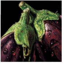 Aubergines Poster Print