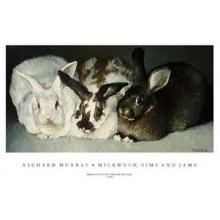 Richard Murray - Milkweed Sims And Jams Size 24x16 Poster Print