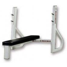 Maximus Olympic Bench Press