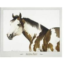 Arizona Paint Poster Print