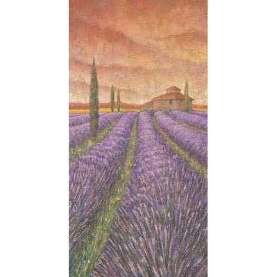 Soleil De Provence I Poster Print