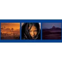 Luc Manaud - Sahara Poster Print