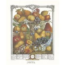 Twelve Months Of Fruits, 1732/November Poster Print