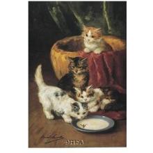The Milk Dish Poster Print