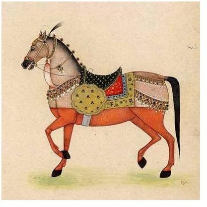 Horse From India I Poster Print