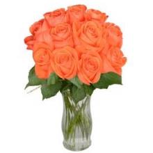 12 Peach Long Stem Roses