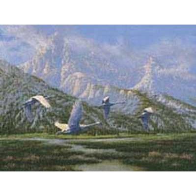 Teton Trumpeters Poster Print Picture