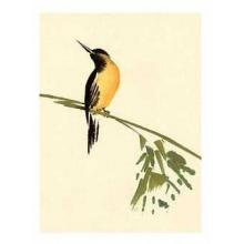 Birds Poster Print