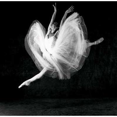 National Ballet Of Cuba, 2001 Poster Print