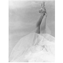 Les Pointes Poster Print