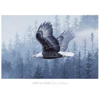 Spirit Of The Forest Poster Print