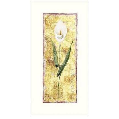 Calla Lily Poster Print