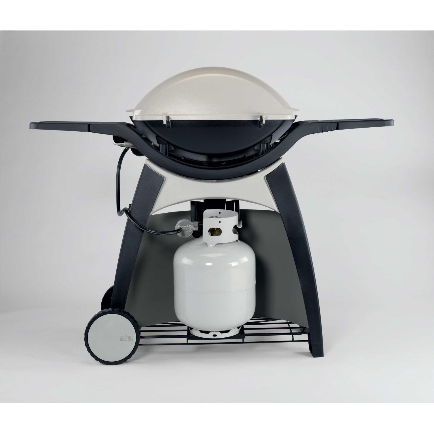 Rear View With Propane Tank Storage