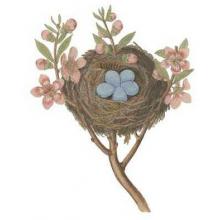 Antique Bird S Nest I Poster Print