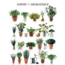 Aromatic Garden Poster Print