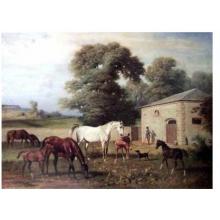 Horse Farm Poster Print