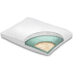 Homedics Goose Down Comfort Pillow