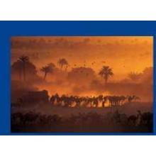 Luc Manaud - Oasis De Fachi, Niger Poster Print
