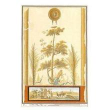 Ah9 Mystical Tree Mural Poster Print
