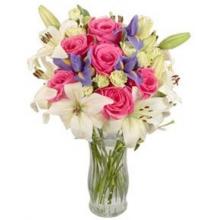 Sweet Sentiments