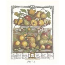 Twelve Months Of Fruits, 1732/March Poster Print
