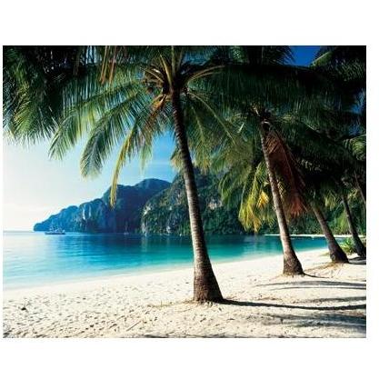Tonsai Beach, Phi Phi Islands, Thailand Poster Print