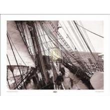 A. Villiers - View Along The Main Deck Of Parma Size 32x24 Poster Print
