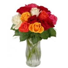 12 Mixed Long Stem Roses