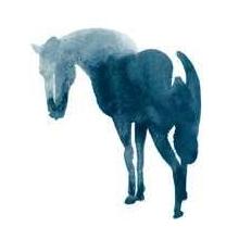 Chinese Horse Poster Print