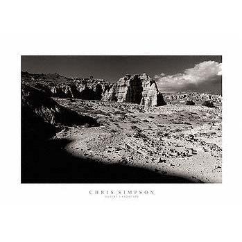 Desert Landscape Poster Print