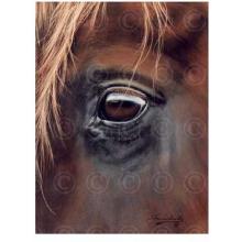 Through Charlies Eyes Poster Print