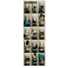 Toiletcam Poster Print