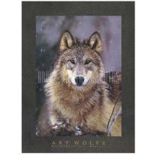 Woodland Pride, Montana Poster Print