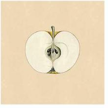 Apple & Pear Studies Poster Print