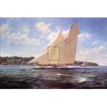 Racing Schooner Westward Poster Print